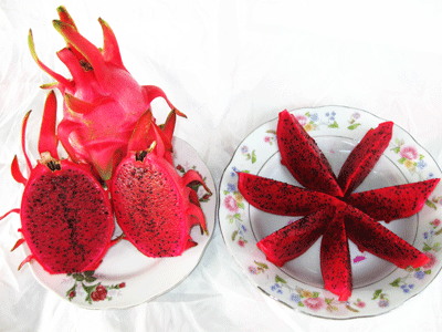 Red Flesh Dragon Fruit