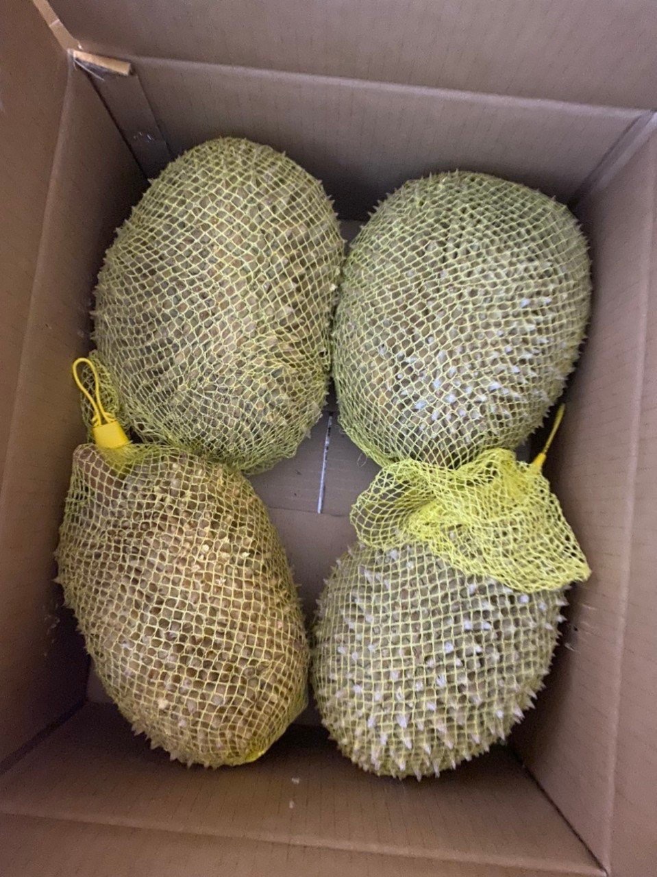 FROZEN WHOLE DURIAN 